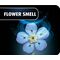 WOODEN FLOWER - Blossom Festival - 360pc