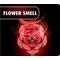 WOODEN FLOWER - Dream of Roses - 326pc