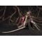 ELDEN RING - Malenia Blade of Miquella - Figure S.H. Figuarts 19cm