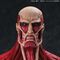 ATTACK ON TITAN - Colossal Titan - Figurine Mega Sofvi 63cm