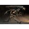 ALIEN RESURRECTION - Alien Queen - Figure Ultra Deluxe 37cm