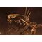 ALIEN RESURRECTION - Alien Queen - Figure Ultra Deluxe 37cm