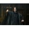 HARRY POTTER - Severus Snape - Figure Legacy Collection 17cm