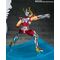 SAINT SEIYA-Pegasus Bronze -Statue FiguartsZERO Touche Metallique 25cm