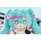 HATSUNE MIKU GT PROJECT - Hatsune Miku Racing 2025 - Plush 20cm
