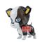 JOJO PART 3 - Iggy (Version B) - Figure Clear Figure 6cm