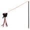 MINNIE - Toy - Cat Fishing Pole