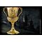 HARRY POTTER - The Hufflepuff Cup