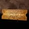 HARRY POTTER - The Polar Express 24k Gold Plated Train Ticket