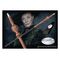 HARRY POTTER - Wand - Professor Minerva McGonagall
