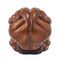 BAKI - Biscuit Oliva - Figure 10cm