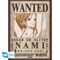 ONE PIECE - Nami & Robin - Set 2 posters '52x38'