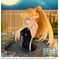 A CERTAIN SCIENTIFIC - Misaki Shokuhou - Figure Thermae Utopia 14cm