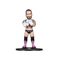 WWE - CM Punk - Figure Minix 12cm