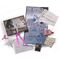 HARRY POTTER - Film Artefact Boxes - Hermione Granger
