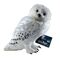 HARRY POTTER - Hedwige Plush - 30cm