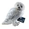 HARRY POTTER - Hedwige Plush - 30cm