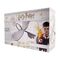 HARRY POTTER - Winged Key - Limited Edition Replica