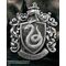 HARRY POTTER - Syltherin House Crest Wall Art