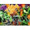 DC - Green Lantern - Puzzle 1000P