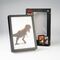 JURASSIC PARK  - Framed LED Print 28x20x5cm