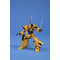 GUNDAM - 1/144 HGUC METHUS - Model Kit