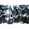 SKYRIM - Dragonborn standard - Action Figure '22x9x35cm'