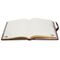 HARRY POTTER - Quidditch - Notebook A5 Premium