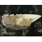 HARRY POTTER - The Crystal Goblet