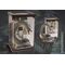 HARRY POTTER - Magical Creature Statue 03 - Basilic