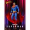 DC COMICS - Superman - Figure 20cm