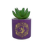 DISNEY - Aladdin - Faux Plant Pot 6.5cm (Purple)