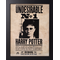 HARRY POTTER - Undesirable N°1 - Collector Print '30x40cm'