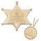 FALLOUT -Sunset Sarsaparilla Legend of the star set -Gold coloured Ed.