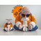 DRAGON BALL - Money Box XXL - Master Roshi - 30cm