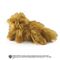 HARRY POTTER - Pattenrond Plush - 25cm