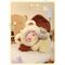 YANCHUANG - Little Bear Adoption  Mini Plush BLIND BOX (6pcs) - 13cm