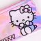 HELLO KITTY & KUROMI - Display of 12 Iridiscent Cases