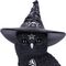 CULT CUTIES - Owlocen - Figure 30cm