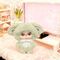 Niinoo Grumpy Crew assorted Blind Box Surprise doll keychain 17cm