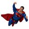 DC Comics Action Figure Superman Limited Edition 21 cm