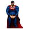 DC Comics Action Figure Superman Limited Edition 21 cm