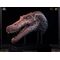 Jurassic Park 3 Replica Bust 1/2 Spinosaurus (Reproduction) 100 cm