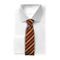 Harry Potter - Gryffindor - Deluxe Tie with metal pin / Fan Shop and Merchandise
