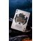 Game of Thrones Playing Cards