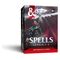Dungeons & Dragons RPG Reference Cards: Spells (Levels 2-3) *English Version*
