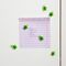 Kikkerland - Baby Turtle Magnets (MG97) / Toys