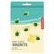 Kikkerland - Baby Turtle Magnets (MG97) / Toys