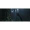 Wuchang: Fallen Feathers / PlayStation 5