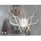 THE HOBBIT - Galadriel Brooch Pendant - Sterling Silver